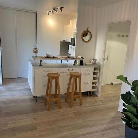 Studio 28 M2 & Jardin Privatif 20 M2 Montigny-le-Bretonneux Eksteriør billede